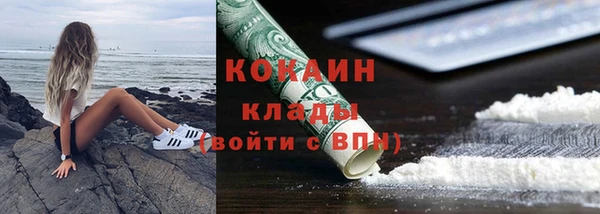ГАЛЛЮЦИНОГЕННЫЕ ГРИБЫ Каменка