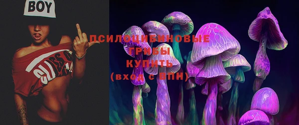 мяу мяу мука Карпинск