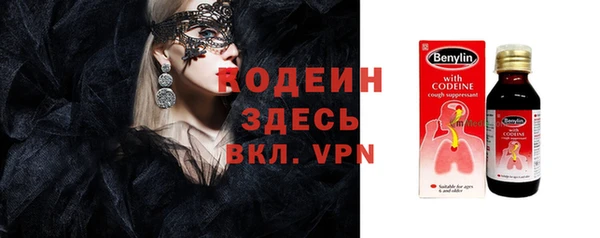 ГАЛЛЮЦИНОГЕННЫЕ ГРИБЫ Каменка