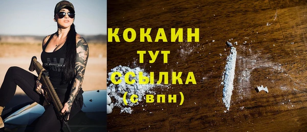СК Каменногорск