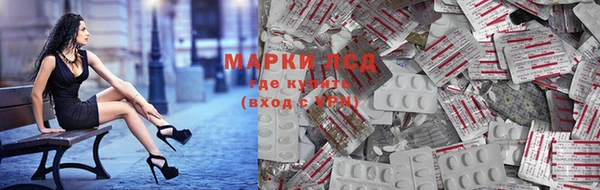 ГАЛЛЮЦИНОГЕННЫЕ ГРИБЫ Каменка