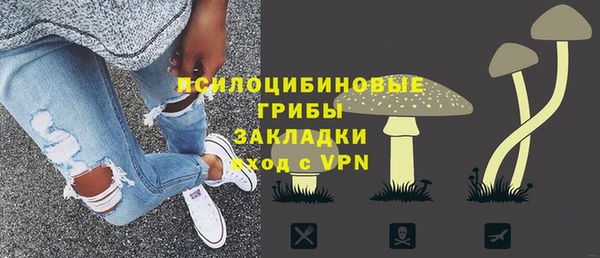 СК Каменногорск