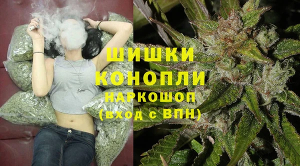 ПСИЛОЦИБИНОВЫЕ ГРИБЫ Касимов