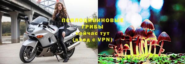 ГАЛЛЮЦИНОГЕННЫЕ ГРИБЫ Каменка