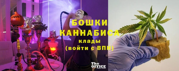 ГАЛЛЮЦИНОГЕННЫЕ ГРИБЫ Каменка