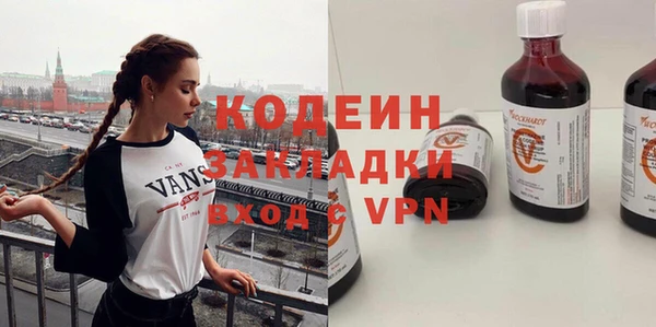 ГАЛЛЮЦИНОГЕННЫЕ ГРИБЫ Каменка